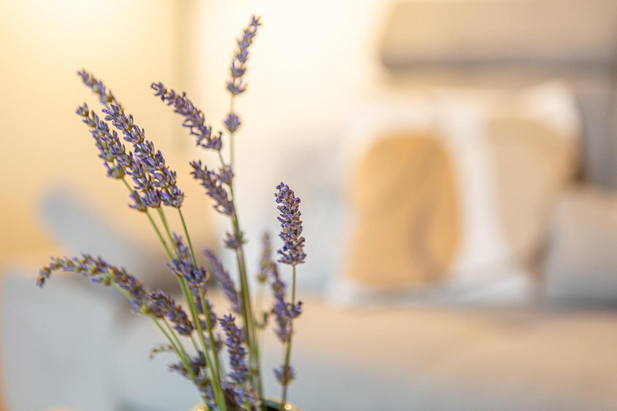 Mostar Bliss Apartment מראה חיצוני תמונה